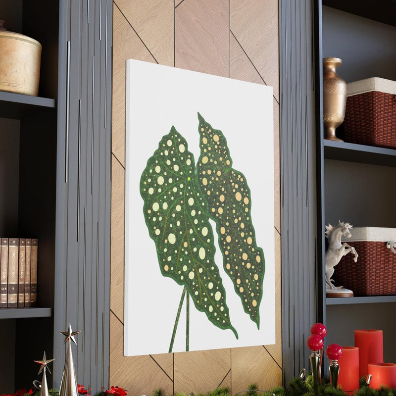 Begonia Maculata Canvas, Canvas, Laura Christine Photography & Design, Art & Wall Decor, Canvas, Hanging Hardware, Home & Living, Indoor, Laura Christine Photography & Design, 