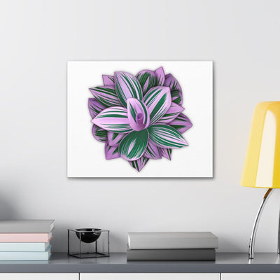 Tradescantia Nanouk Canvas, Canvas, Laura Christine Photography & Design, Art & Wall Decor, Canvas, Hanging Hardware, Home & Living, Indoor, Laura Christine Photography & Design, 