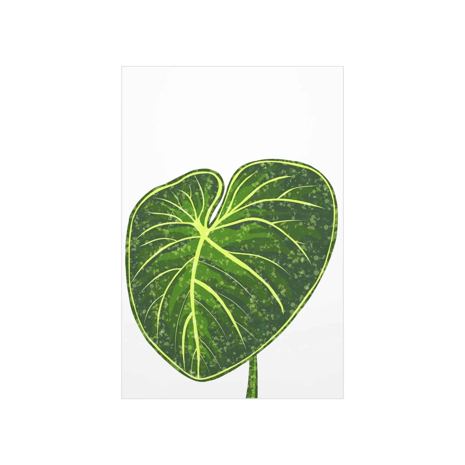 Philodendron Gloriosum Print Botanical Wall Art – Tropical Leaf Poster on Museum-Grade Paper Unframed