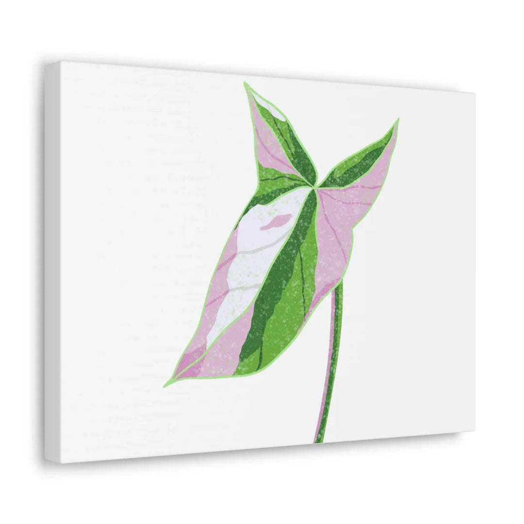 Syngonium Tricolor Canvas | Botanical Canvas Art Print With Matte Finish - Laura Christine Photography & Design