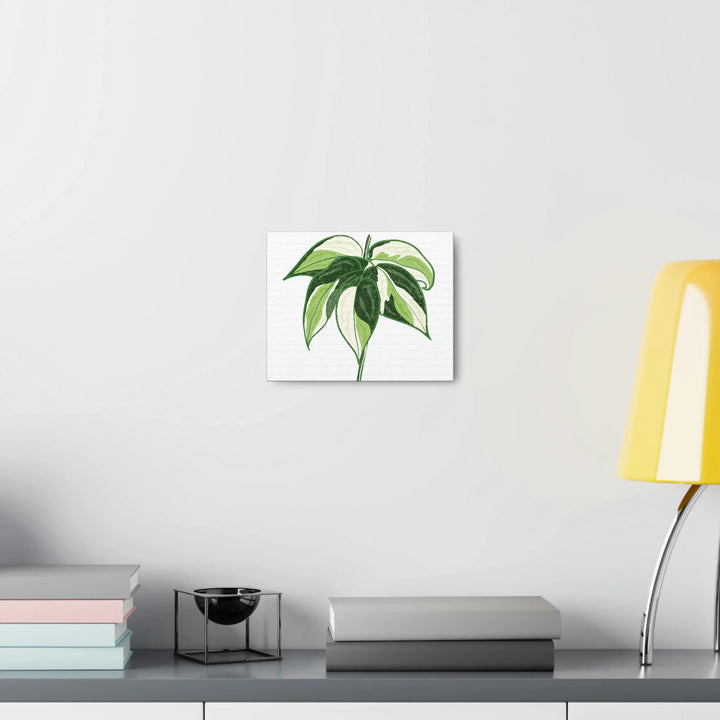 Philodendron Canvas Print - Cream Splash Variegated Plant Art on Matte Cotton Canvas