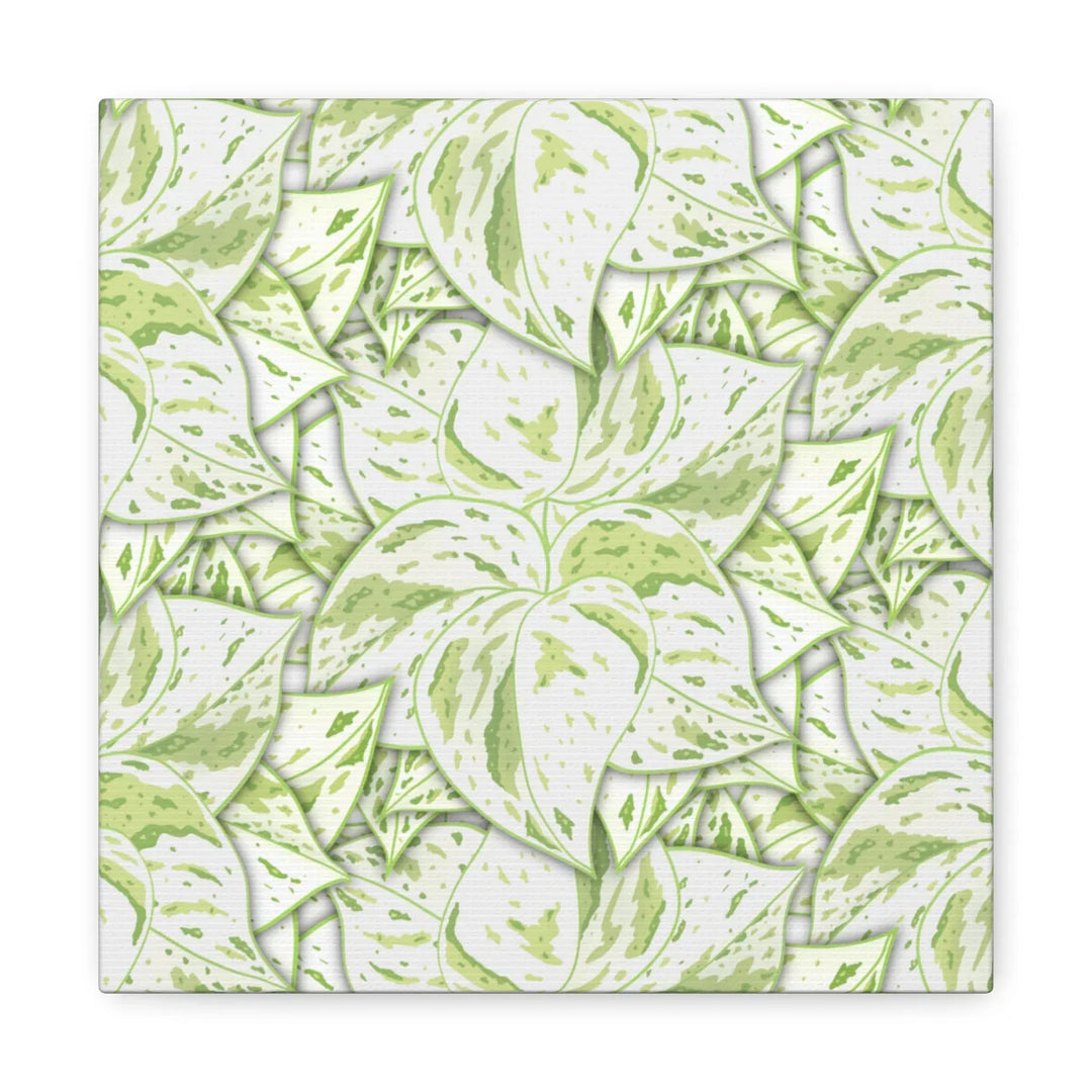 Snow Queen Pothos Canvas – Matte Finish Canvas Art Print | Variegated Botanical Wall Decor