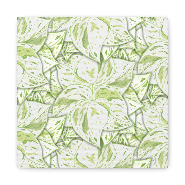 Snow Queen Pothos Canvas – Matte Finish Canvas Art Print | Variegated Botanical Wall Decor