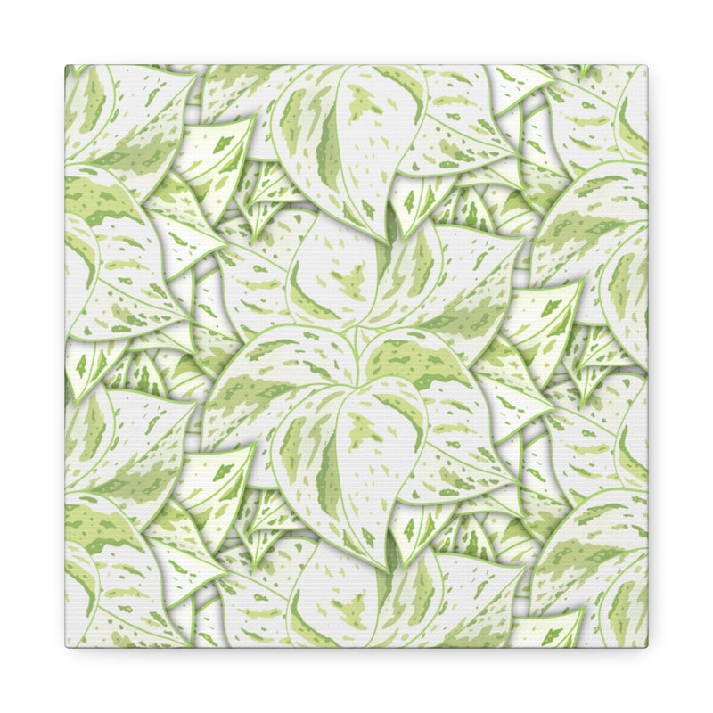 Snow Queen Pothos Canvas