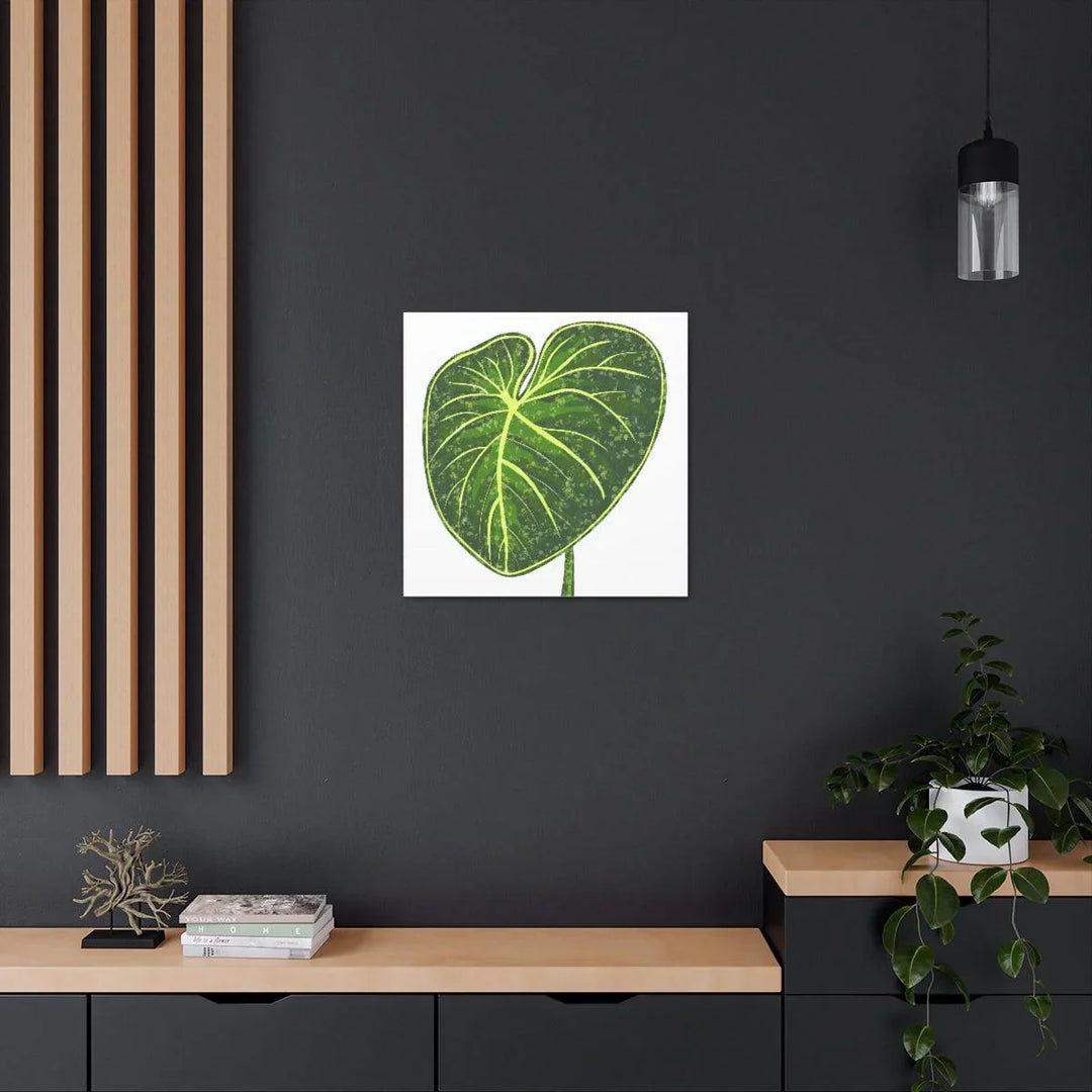 Philodendron Gloriosum Canvas - Stretched Canvas Art Print | Matte Indoor Wall Art - Laura Christine Photography & Design
