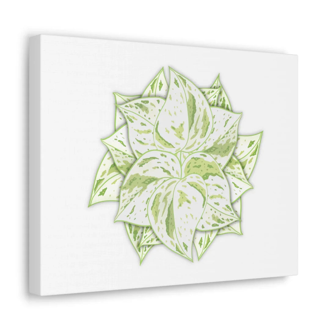 Snow Queen Pothos Canvas – Variegated Leaf Canvas Art Print | Durable Cotton - Laura Christine Photography & Design