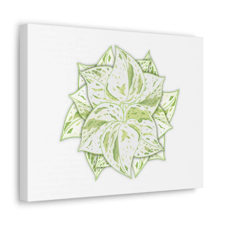 Snow Queen Pothos Canvas – Variegated Leaf Canvas Art Print | Durable Cotton - Laura Christine Photography & Design
