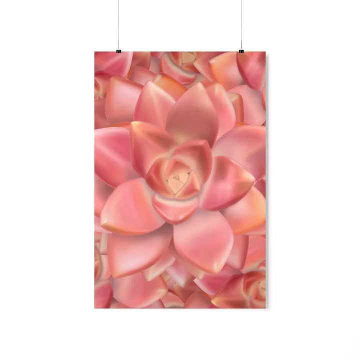 Graptosedum 'California Sunset'  Succulent Print, Poster, Laura Christine Photography & Design, Back to School, Home & Living, Indoor, Matte, Paper, Posters, Valentine's Day promotion, Laura Christine Photography & Design, laurachristinedesign.com