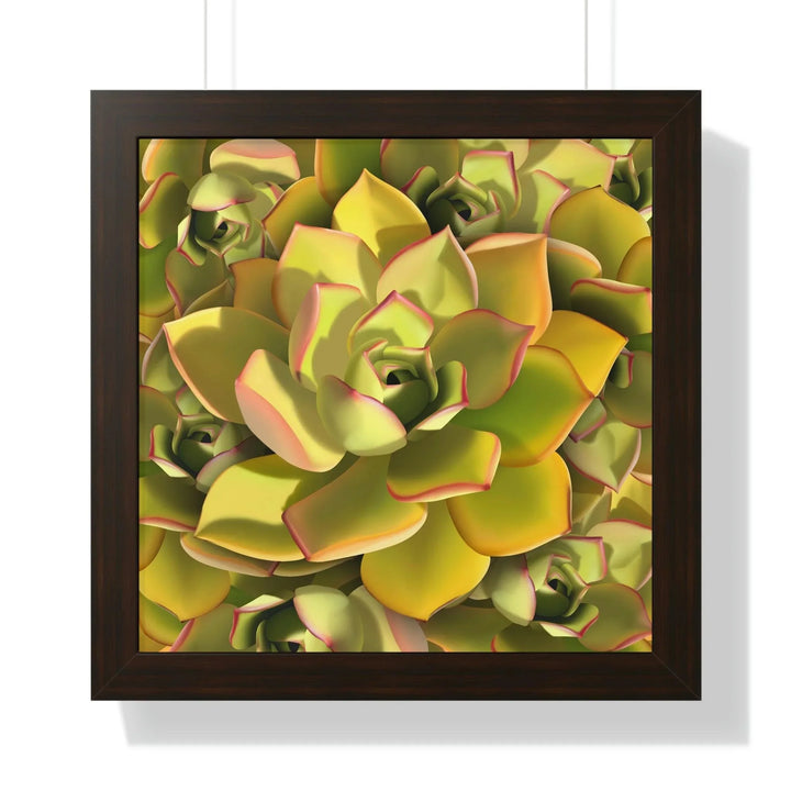 Noble Aeonium Succulent Pattern Framed Print, Poster, Printify, Framed, Home & Living, Indoor, Paper, Posters, Laura Christine Photography & Design, laurachristinedesign.com