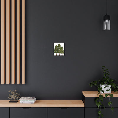 Coastal Redwoods Canvas