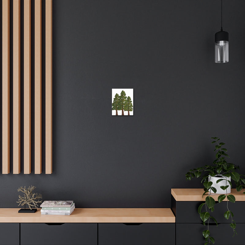 Coastal Redwoods Canvas