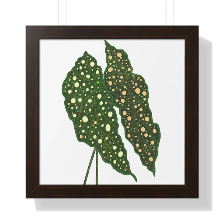 Begonia Maculata Framed Print, Poster, Laura Christine Photography & Design, Framed, Home & Living, Indoor, Paper, Posters, Laura Christine Photography & Design, laurachristinedesign.com