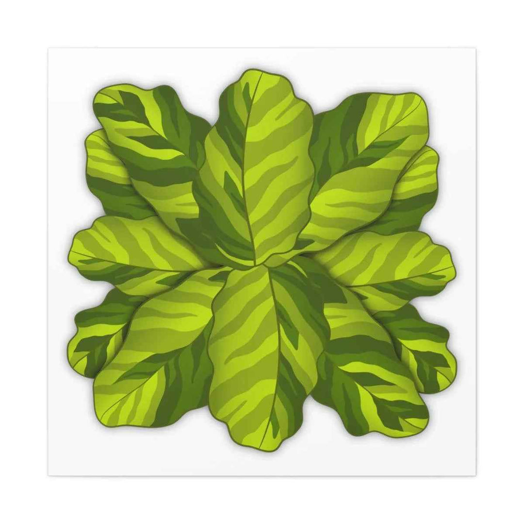 Calathea Yellow Fusion Canvas – Botanical Canvas Print With Unique Leaf Pattern Art