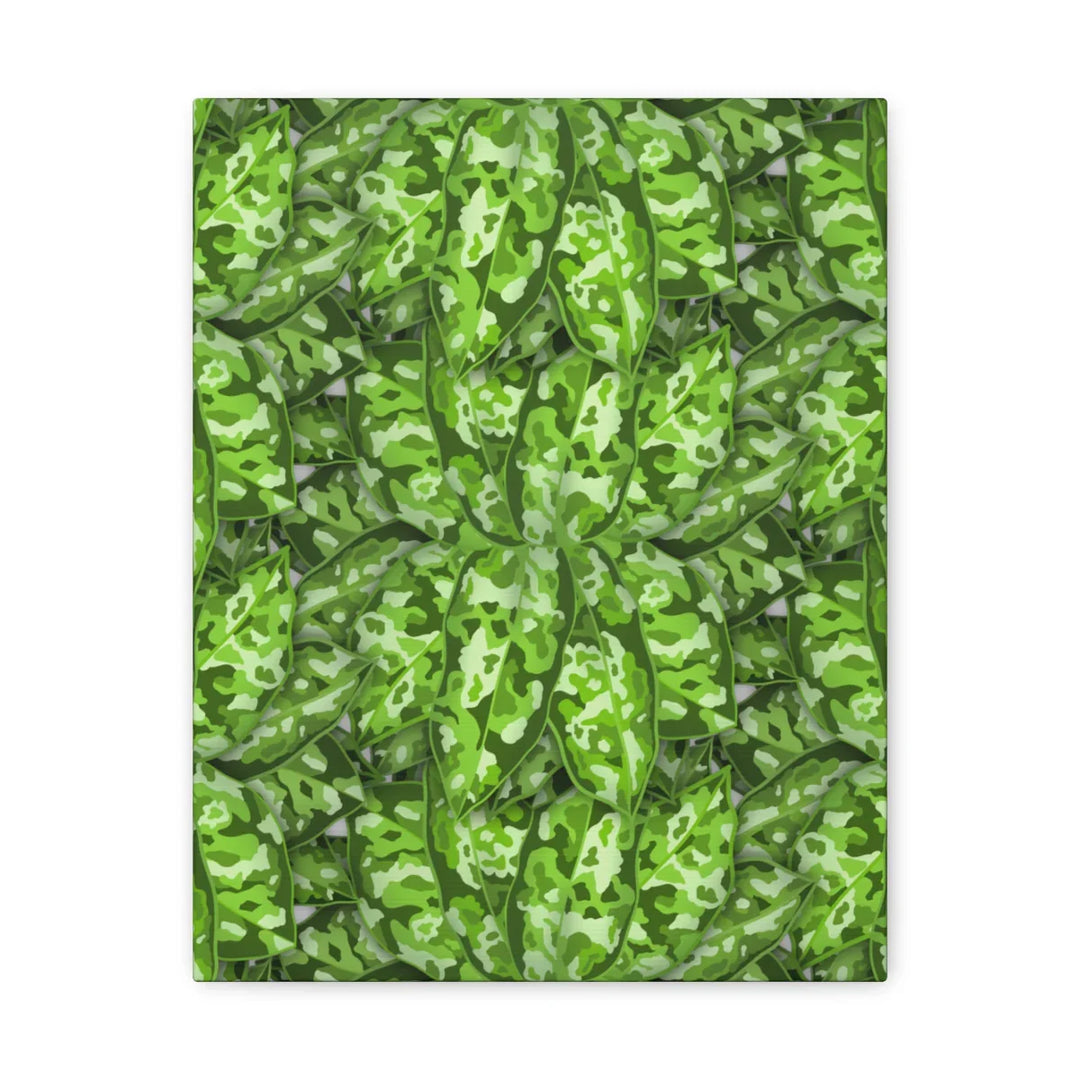 Aglaonema Pictum Canvas - Rare Camouflage Leaf Print Canvas Art Print