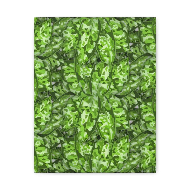 Aglaonema Pictum Canvas - Rare Camouflage Leaf Print Canvas Art Print