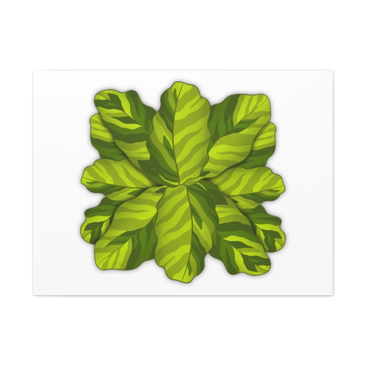 Calathea Yellow Fusion Canvas – Botanical Canvas Print With Unique Leaf Pattern Art - Laura Christine Photography & Design