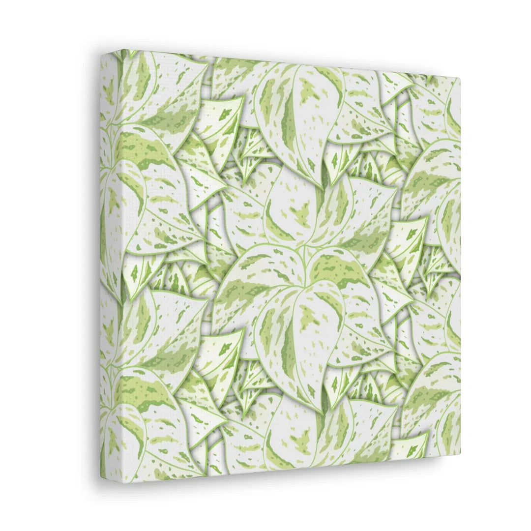 Snow Queen Pothos Canvas – Matte Finish Canvas Art Print | Variegated Botanical Wall Decor