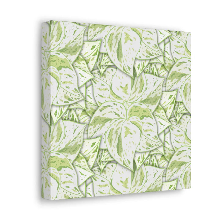 Snow Queen Pothos Canvas – Matte Finish Canvas Art Print | Variegated Botanical Wall Decor