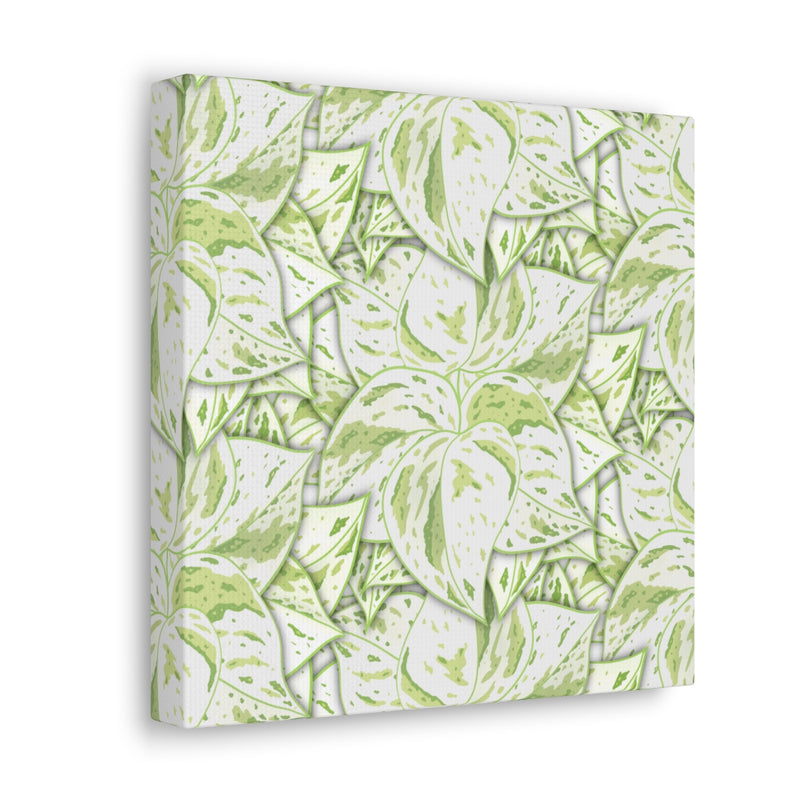 Snow Queen Pothos Canvas