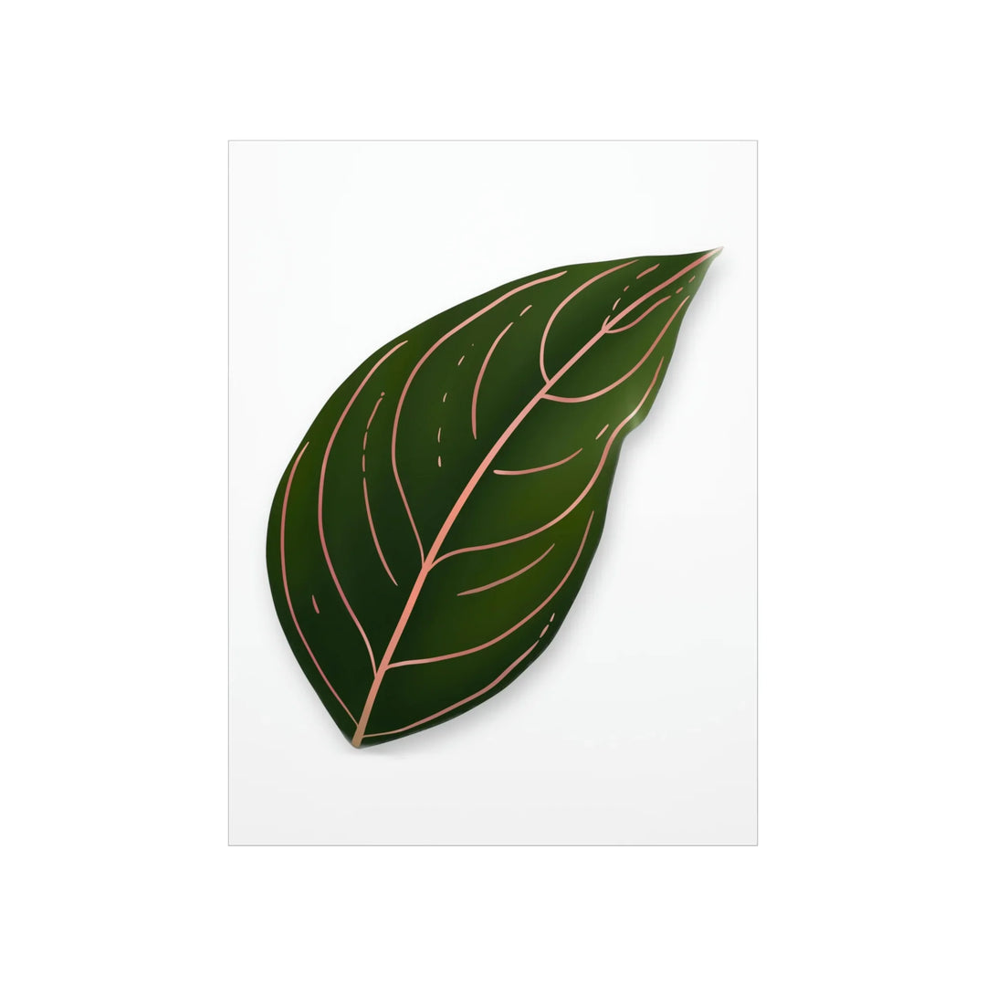 Aglaonema Rotundum Print – Botanical Wall Art on Museum Grade Paper | Unframed