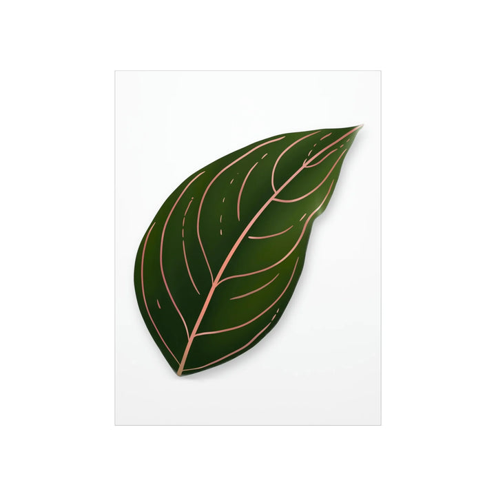 Aglaonema Rotundum Print – Botanical Wall Art on Museum Grade Paper | Unframed