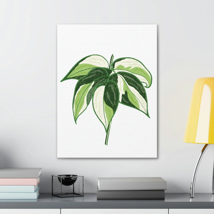 Philodendron Canvas Print - Cream Splash Variegated Plant Art on Matte Cotton Canvas