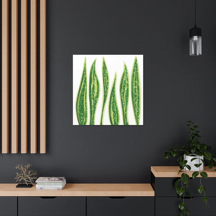 Snake Plant Canvas | Botanical Canvas Decor - Matte Finish Artwork for Living Room - Laura Christine Photography & Design