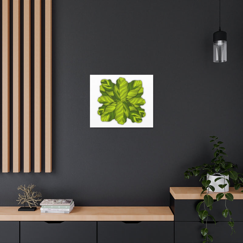 Calathea Yellow Fusion Canvas