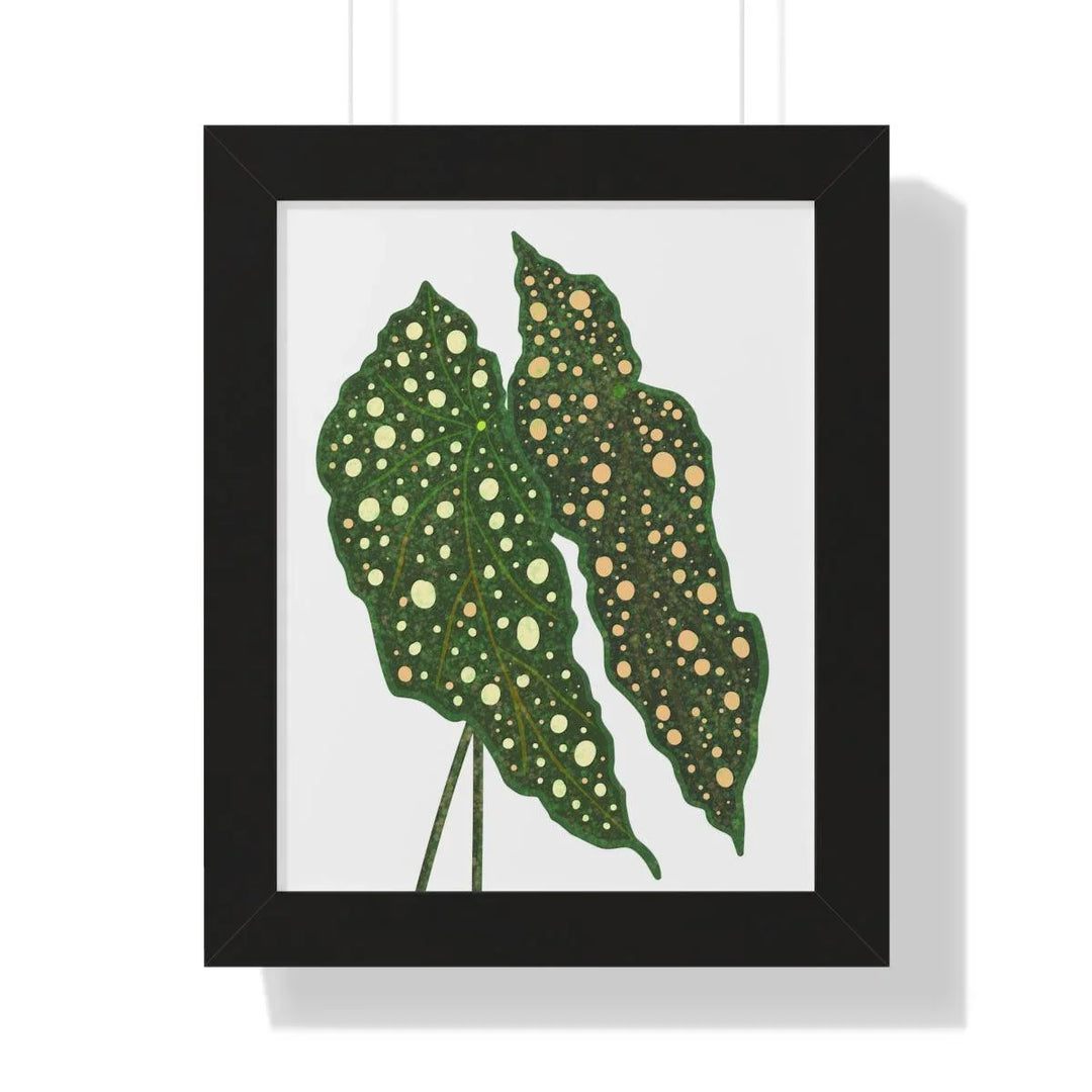 Begonia Maculata Framed Print, Poster, Laura Christine Photography & Design, Framed, Home & Living, Indoor, Paper, Posters, Laura Christine Photography & Design, laurachristinedesign.com