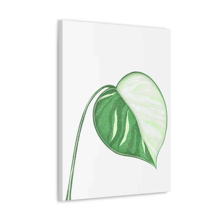 Monstera Albo Canvas | Large Tropical Leaf Artwork - Matte Finish Canvas Art Print - Laura Christine Photography & Design