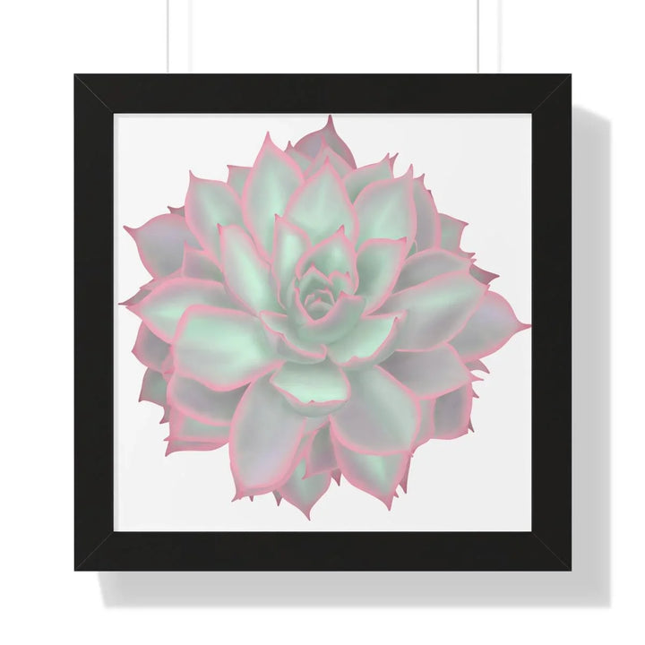Echeveria Violet Queen Succulent Framed Print, Poster, Laura Christine Photography & Design, Framed, Home & Living, Indoor, Paper, Posters, Laura Christine Photography & Design, laurachristinedesign.com