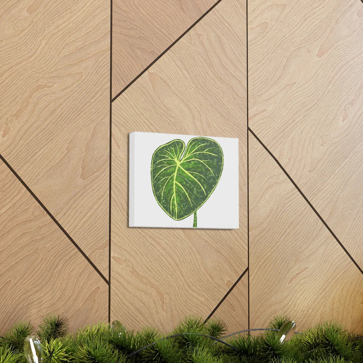 Philodendron Gloriosum Canvas - Stretched Canvas Art Print | Matte Indoor Wall Art - Laura Christine Photography & Design