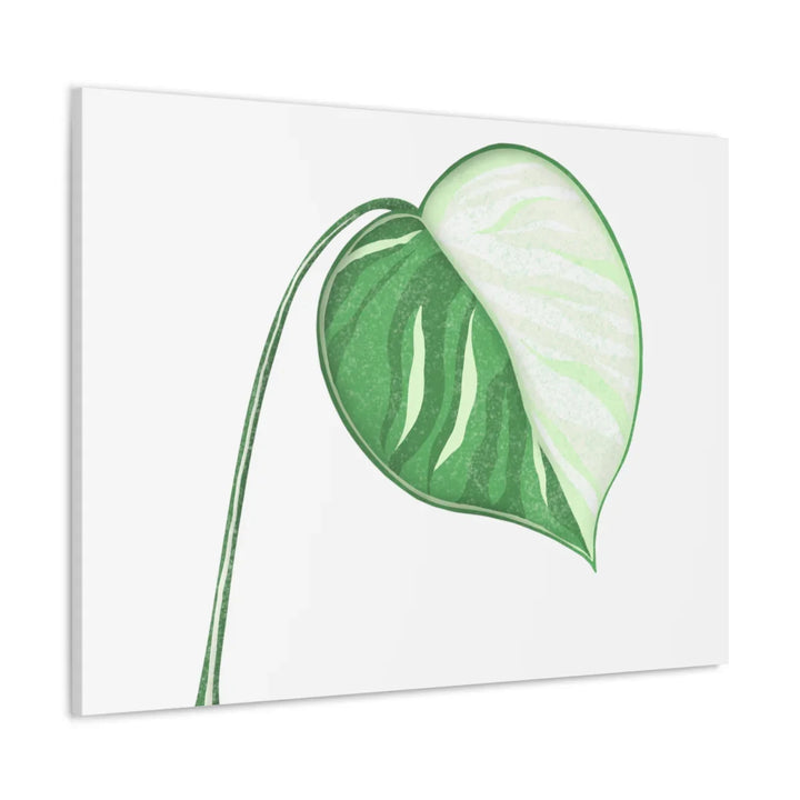 Monstera Albo Canvas | Large Tropical Leaf Artwork - Matte Finish Canvas Art Print - Laura Christine Photography & Design