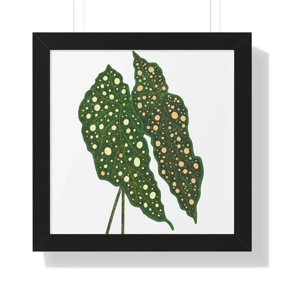 Begonia Maculata Framed Print, Poster, Laura Christine Photography & Design, Framed, Home & Living, Indoor, Paper, Posters, Laura Christine Photography & Design, laurachristinedesign.com