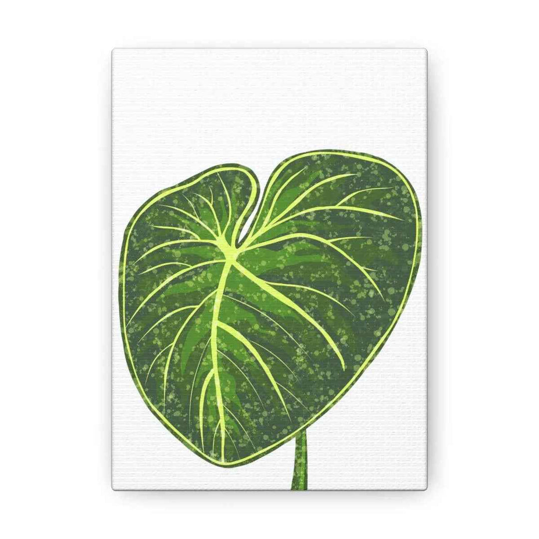 Philodendron Gloriosum Canvas - Stretched Canvas Art Print | Matte Indoor Wall Art