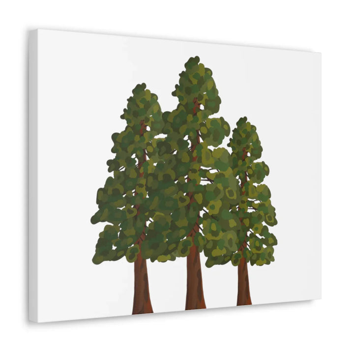 Coastal Redwoods Canvas - Stretched Cotton Canvas Art Print | Matte Finish Wall Hanging Artwork