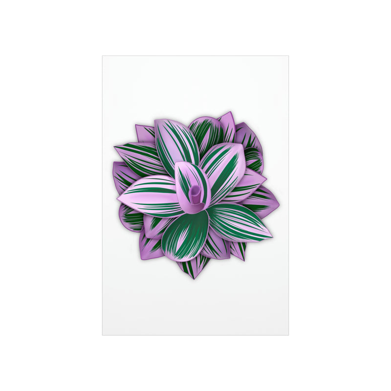 Tradescantia Nanouk Print