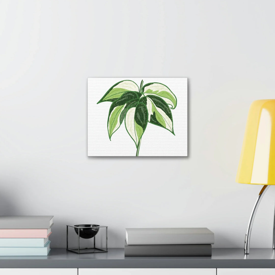 Philodendron Canvas Print - Cream Splash Variegated Plant Art on Matte Cotton Canvas