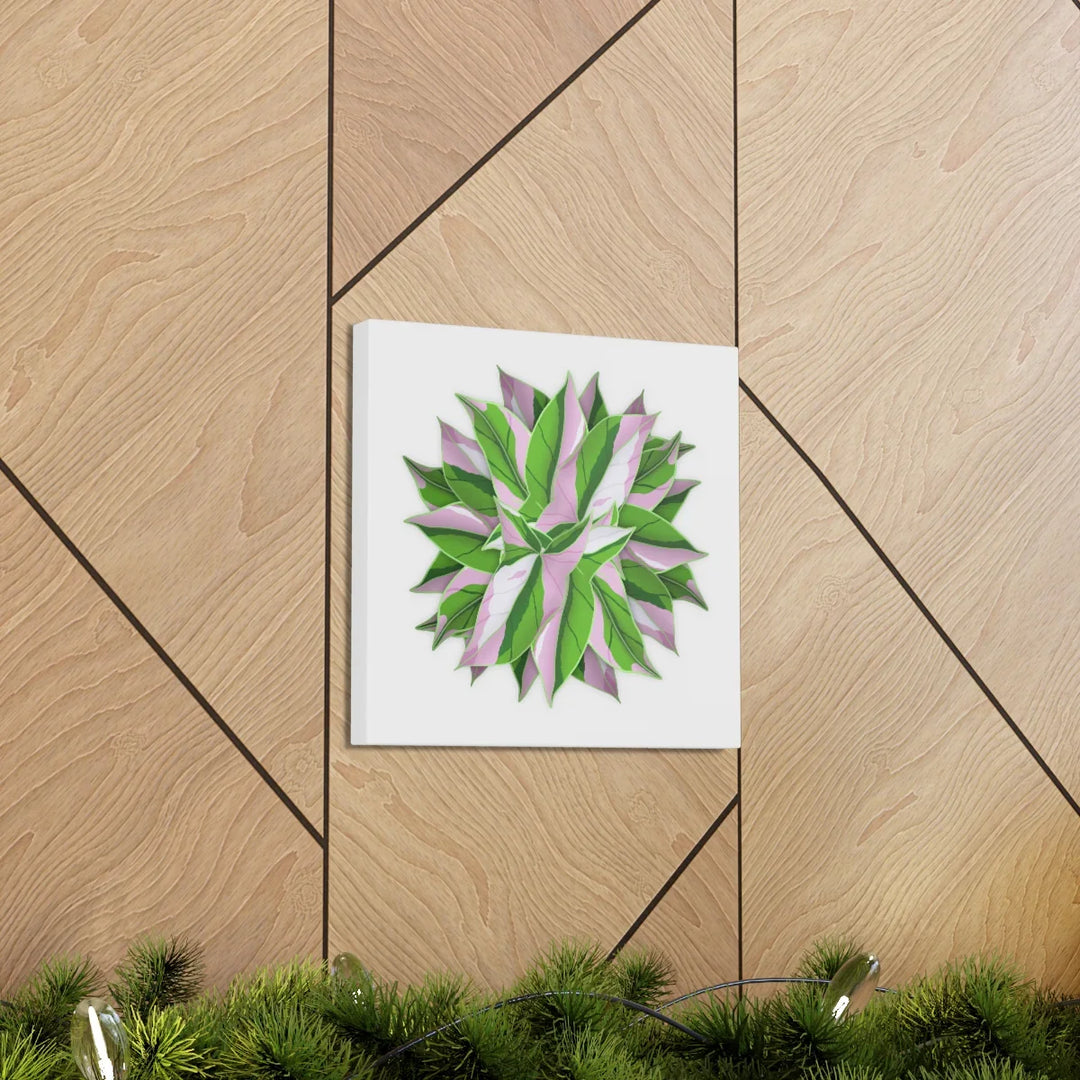 Tricolor Syngonium Canvas - Durable Canvas Art Print With Matte Finish & Botanical Design - Laura Christine Photography & Design