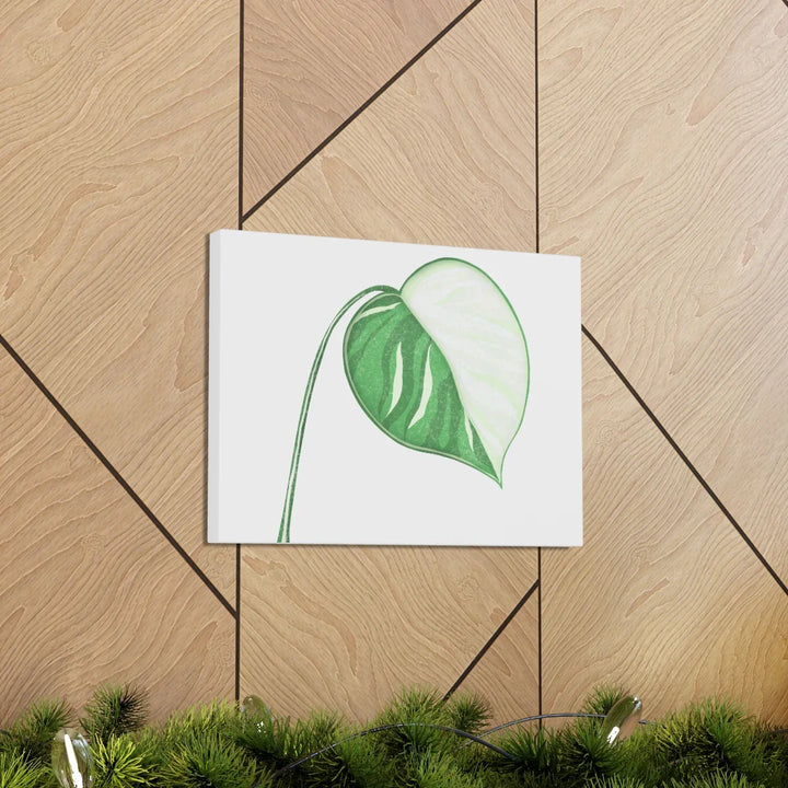 Monstera Albo Canvas | Large Tropical Leaf Artwork - Matte Finish Canvas Art Print - Laura Christine Photography & Design