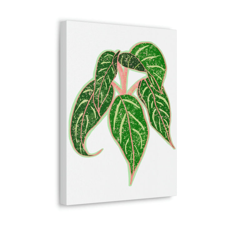 Aglaonema Plant Canvas | Sparkling Plant Artwork - Colorfast Canvas Art Print Decor