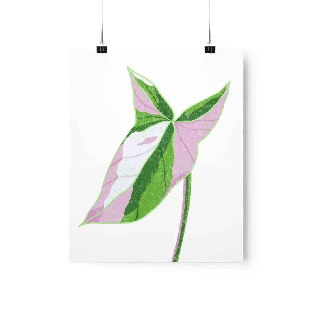 Syngonium Tricolor Print – Botanical Wall Art | Variegated Leaf Poster Unframed