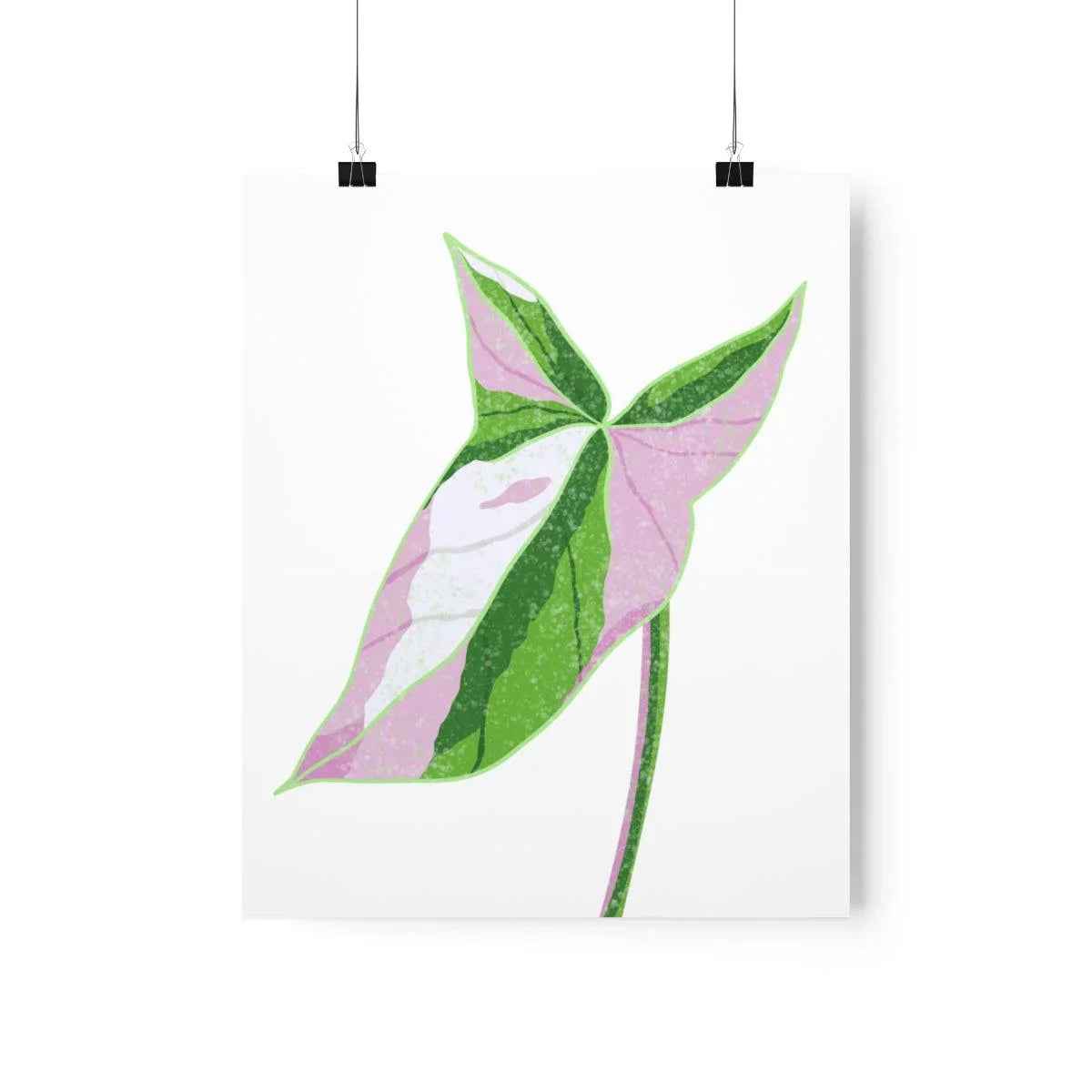 Syngonium Tricolor Print – Botanical Wall Art | Variegated Leaf Poster Unframed
