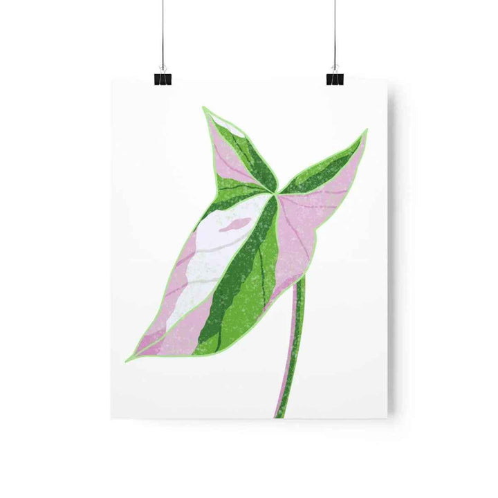 Syngonium Tricolor Print – Botanical Wall Art | Variegated Leaf Poster Unframed