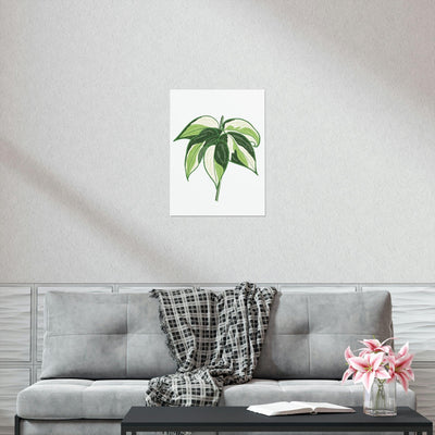 Philodendron 'Cream Splash' Print, Poster, Printify, Back to School, Home & Living, Indoor, Matte, Paper, Posters, Valentine's Day promotion, Laura Christine Photography & Design, laurachristinedesign.com