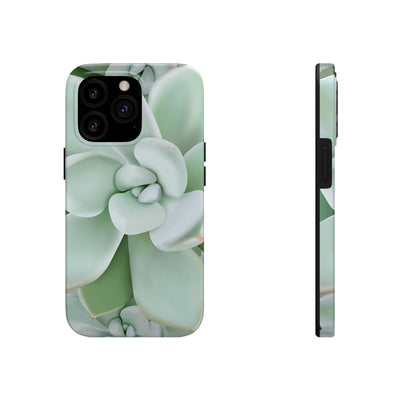 Pachyveria Haagei Succulent Phone Case, Phone Case, Printify, Accessories, Glossy, iPhone Cases, Matte, Phone accessory, Phone Cases, Samsung Cases, Laura Christine Photography & Design, laurachristinedesign.com