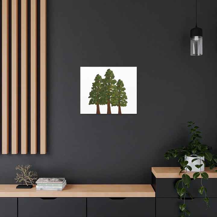 Coastal Redwoods Canvas - Stretched Cotton Canvas Art Print | Matte Finish Wall Hanging Artwork