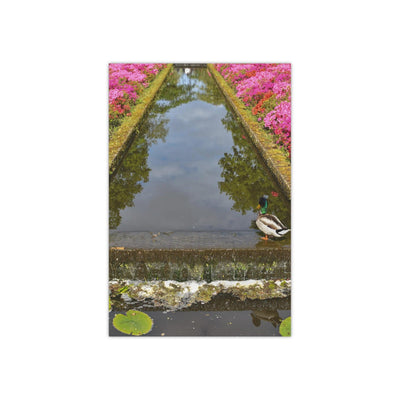 Duck at the tulip garden - Photo Poster, Poster, Printify, Art & Wall Decor, Home & Living, Paper, Poster, Posters, Laura Christine Photography & Design, laurachristinedesign.com