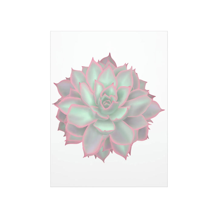Echeveria Violet Queen Print – Succulent Wall Art | Botanical Poster On Museum Grade Paper