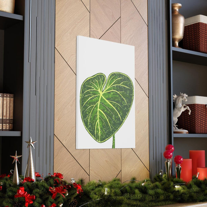 Philodendron Gloriosum Canvas - Stretched Canvas Art Print | Matte Indoor Wall Art - Laura Christine Photography & Design